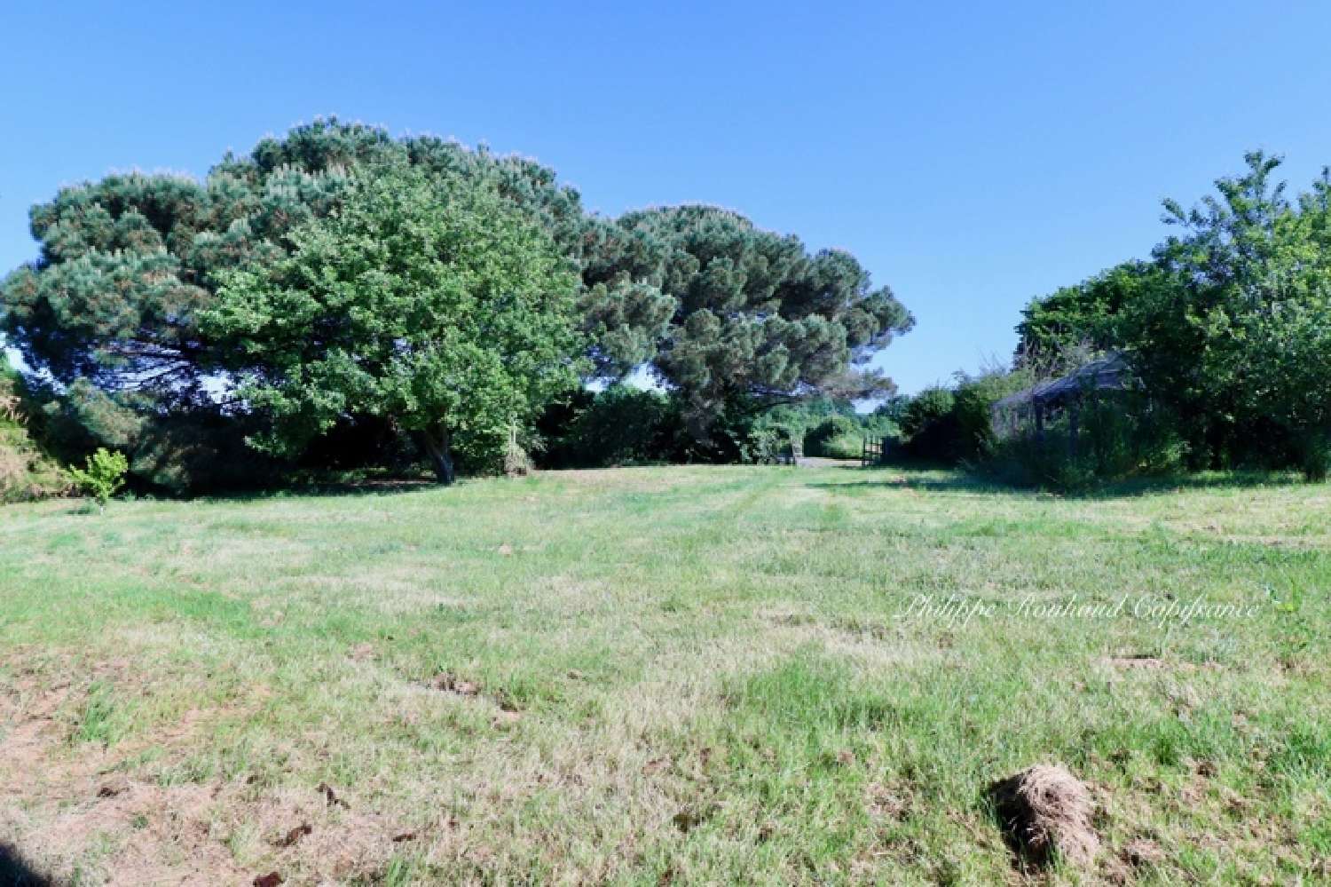  à vendre maison La Chapelle-Thémer Vendée 5