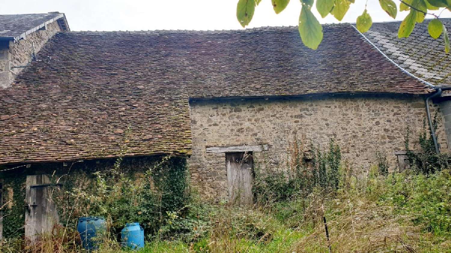  kaufen Haus La Croisille-sur-Briance Haute-Vienne 2