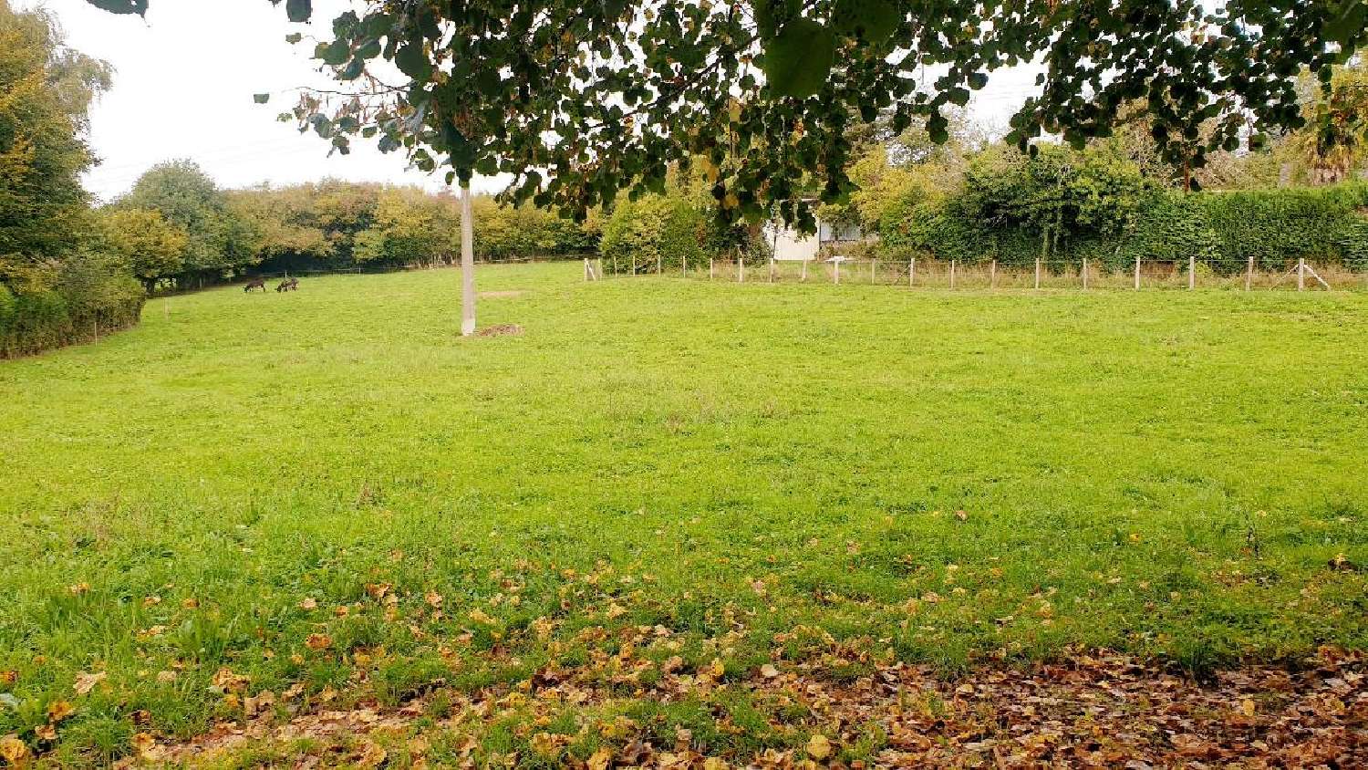  kaufen Haus La Croisille-sur-Briance Haute-Vienne 4