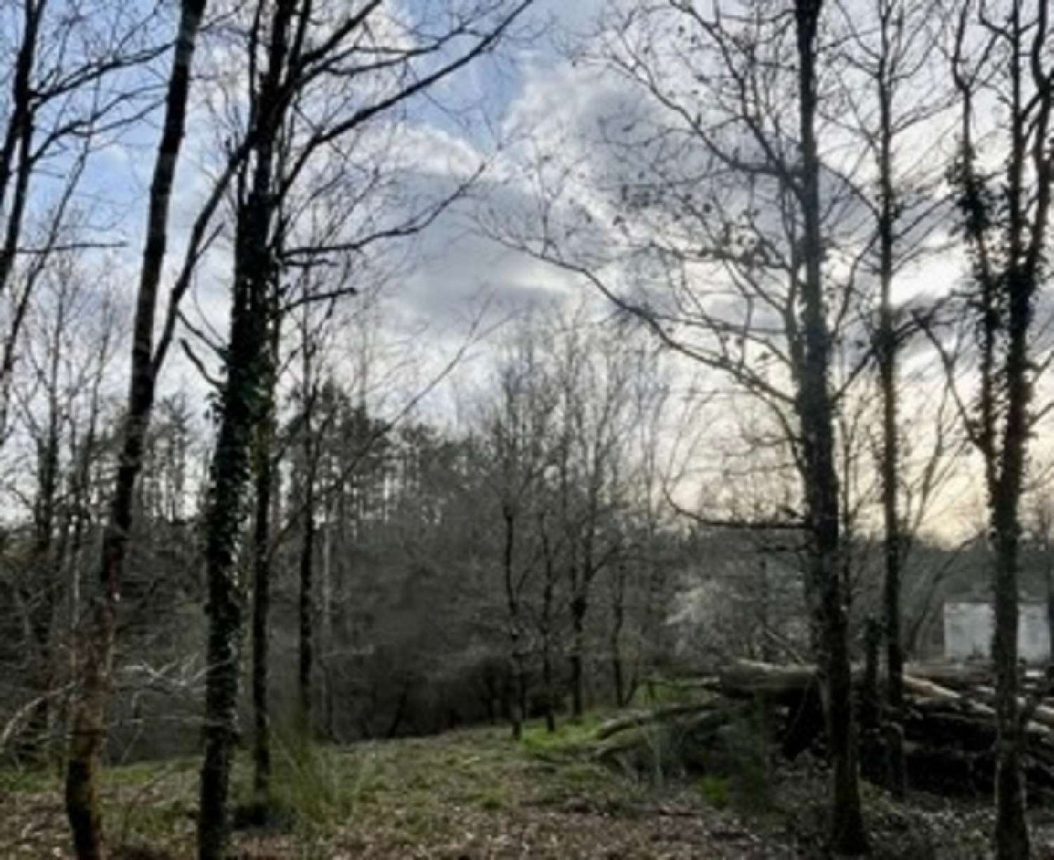  te koop huis La Roche-sur-Yon Vendée 4