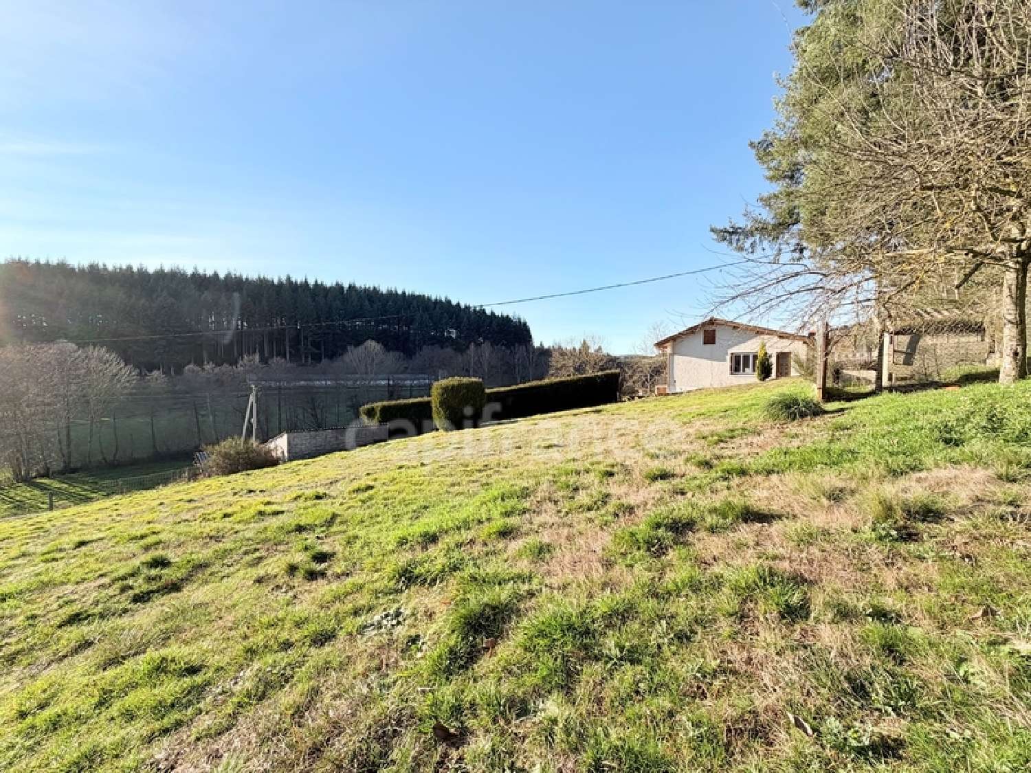  kaufen Haus La Tuilière Loire 7