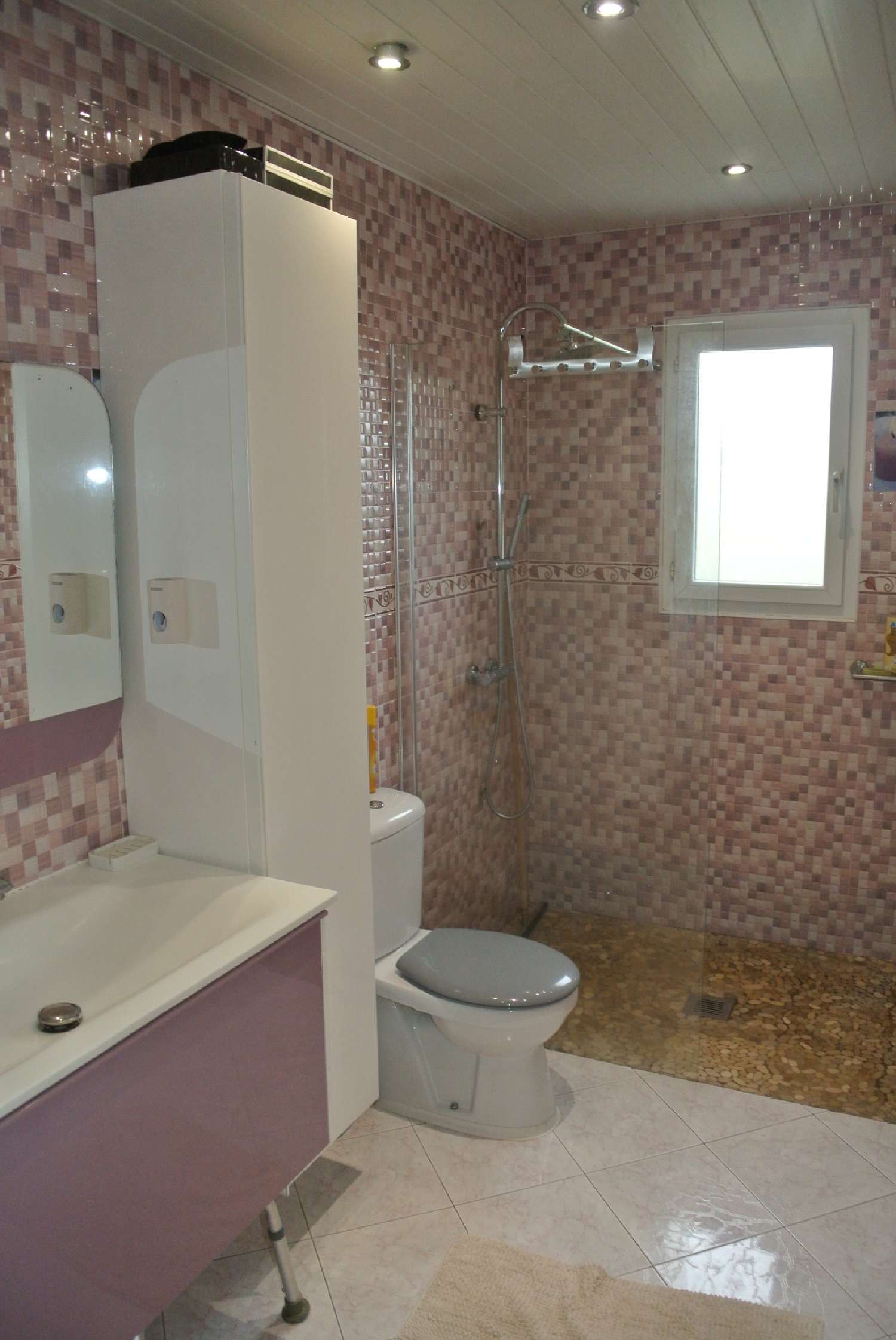  à vendre maison Lagupie Lot-et-Garonne 7