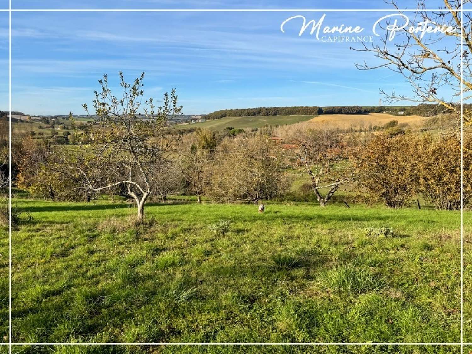 à vendre maison Lavardens Gers 4