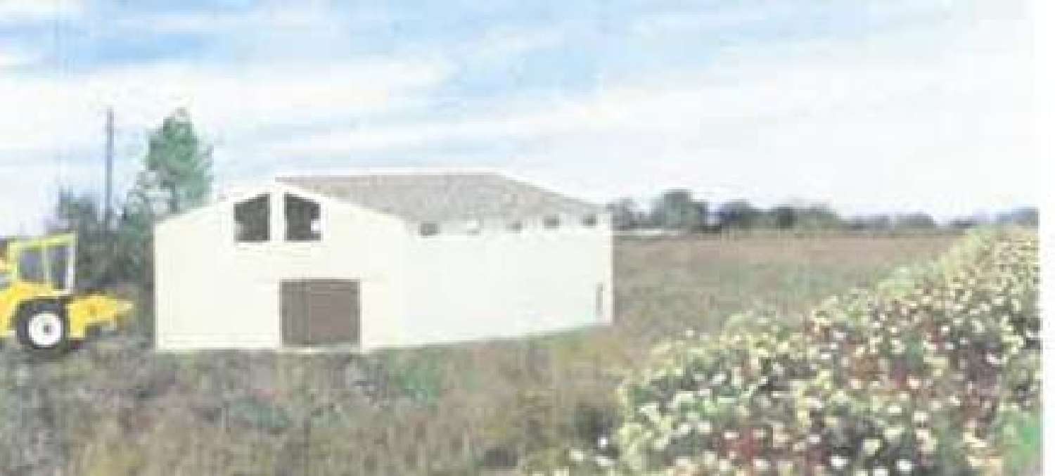 te koop huis Le Cailar Gard 1