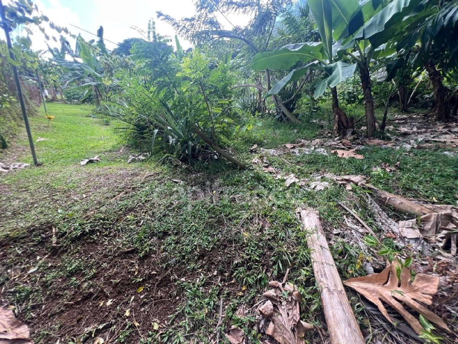  te koop huis Le Lamentin Martinique 3