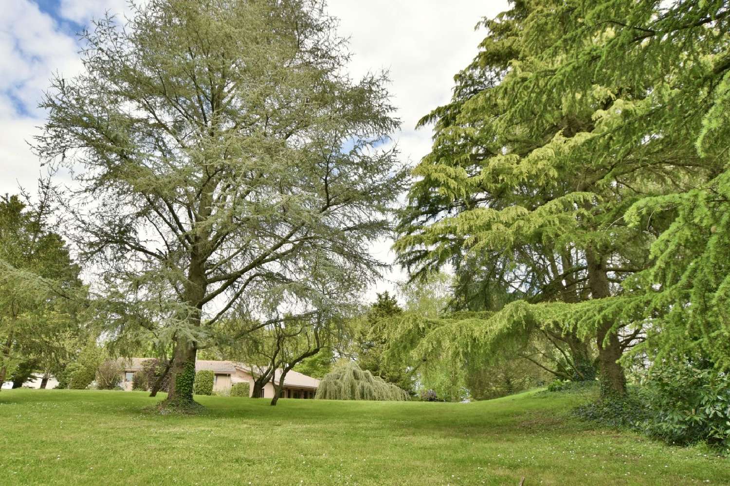  kaufen Haus Le Puy-Saint-Bonnet Maine-et-Loire 2