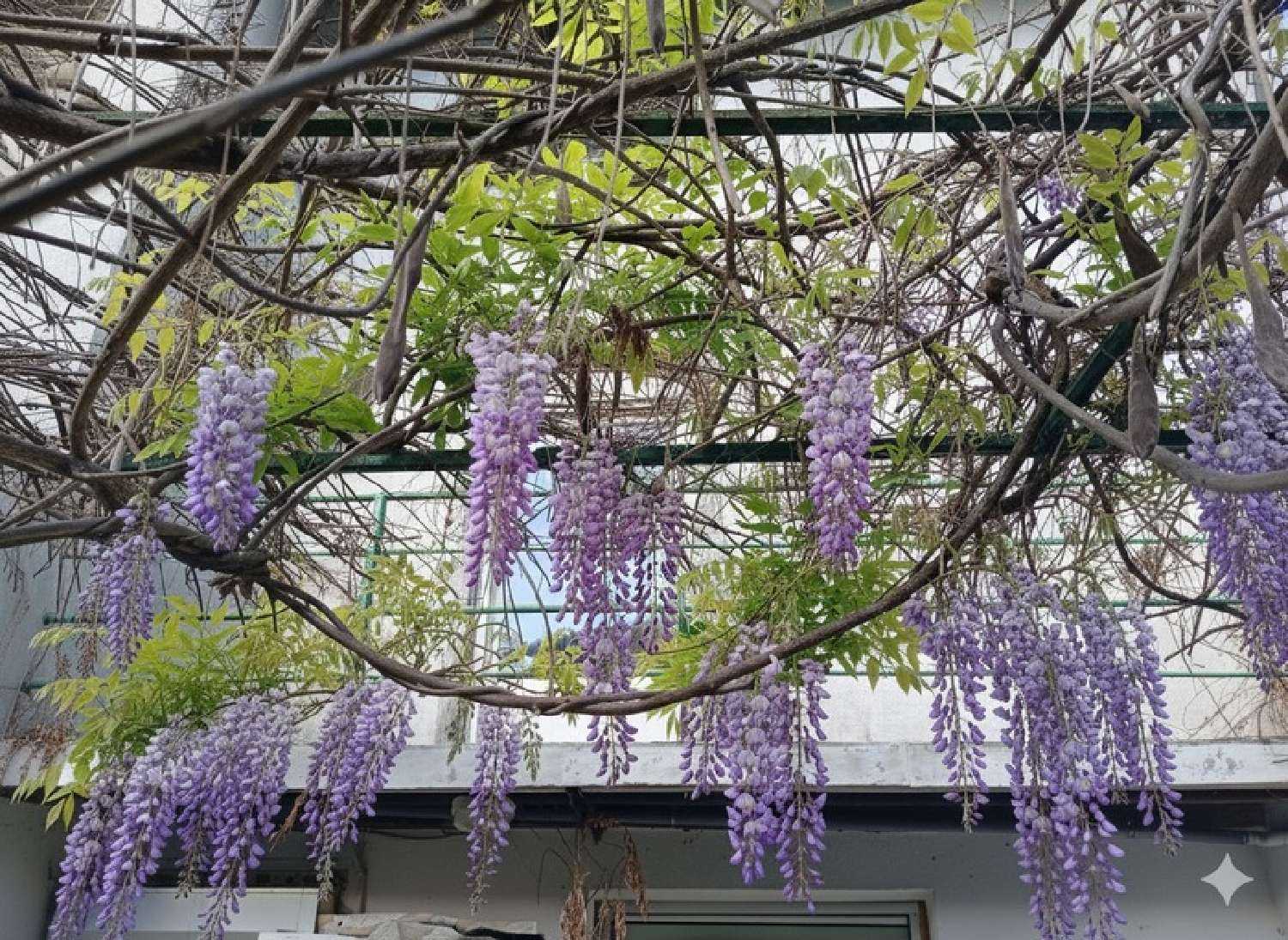  en venta casa Les Cabannes Ariège 6