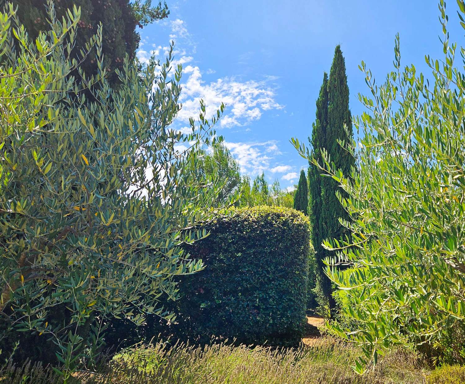  à vendre maison Les Forges Vosges 2