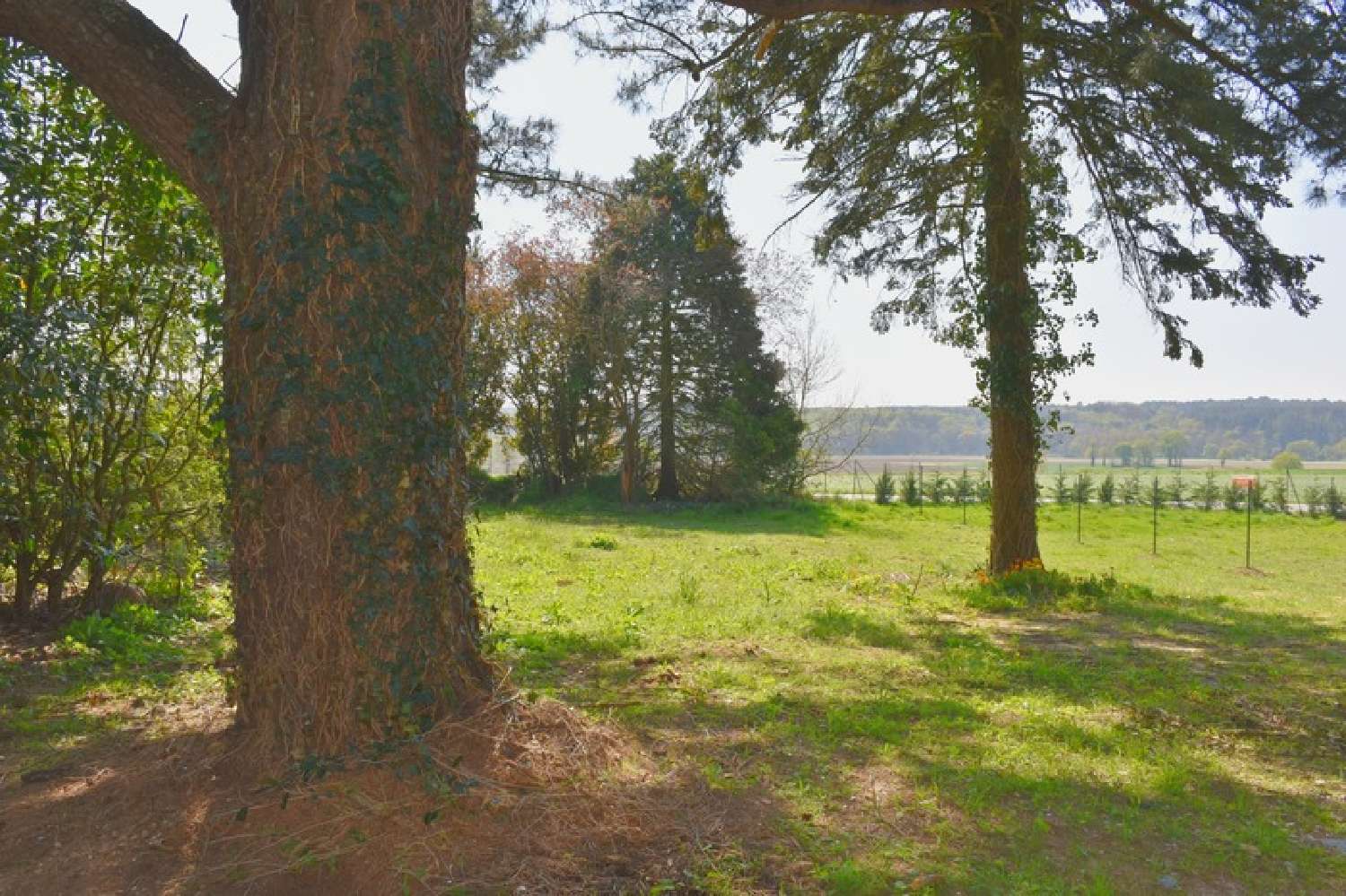  te koop huis Les Fougerêts Morbihan 5