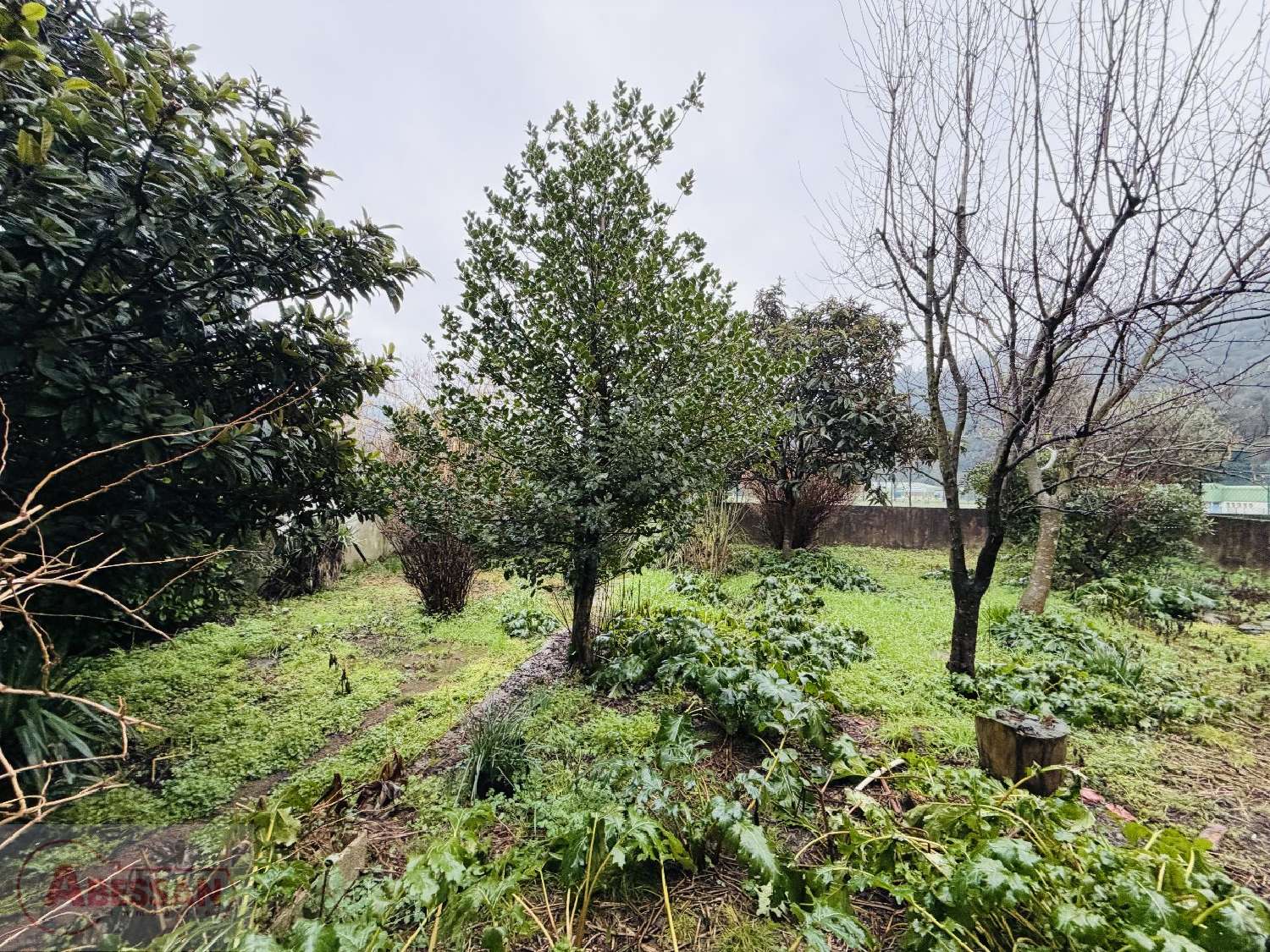  kaufen Haus Les Salles-du-Gardon Gard 3