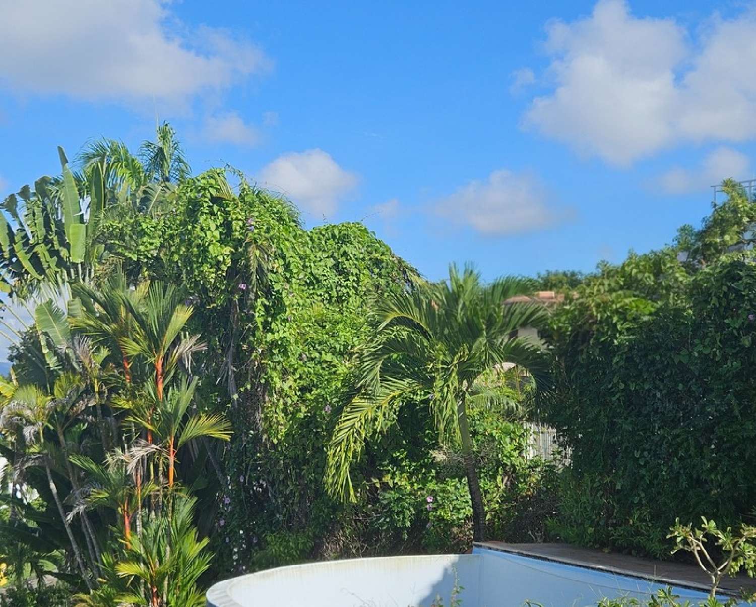  te koop huis Les Trois-Îlets Martinique 5