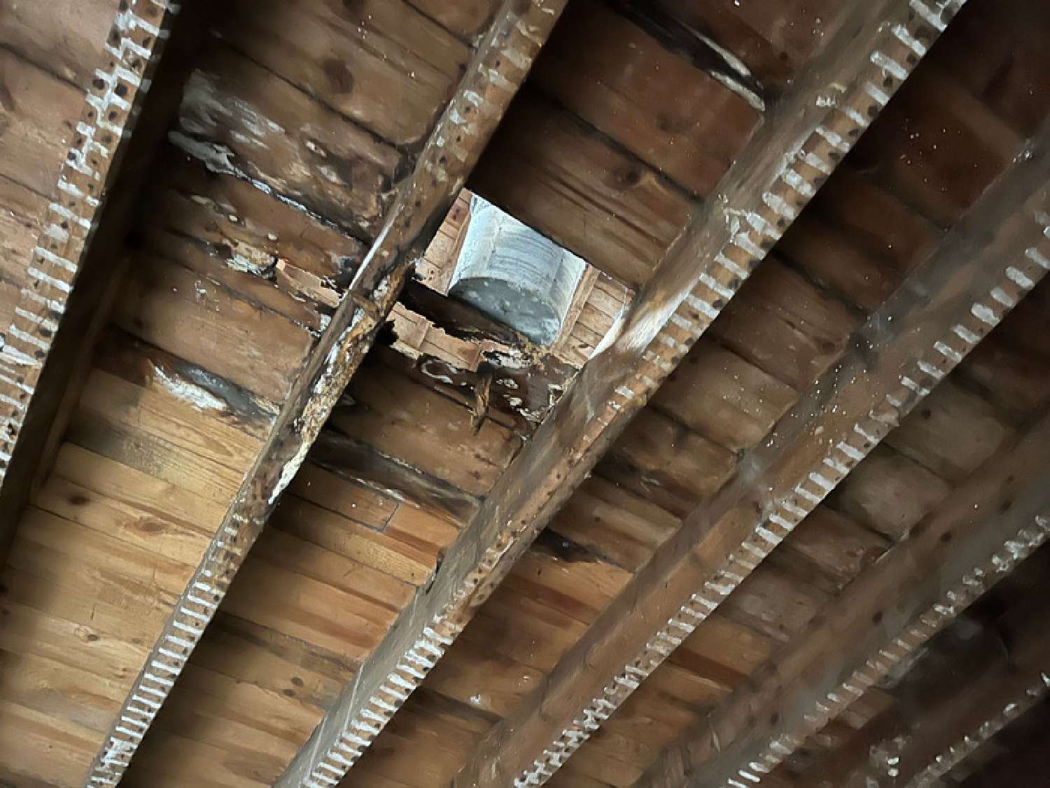 te koop huis Libourne Gironde 4