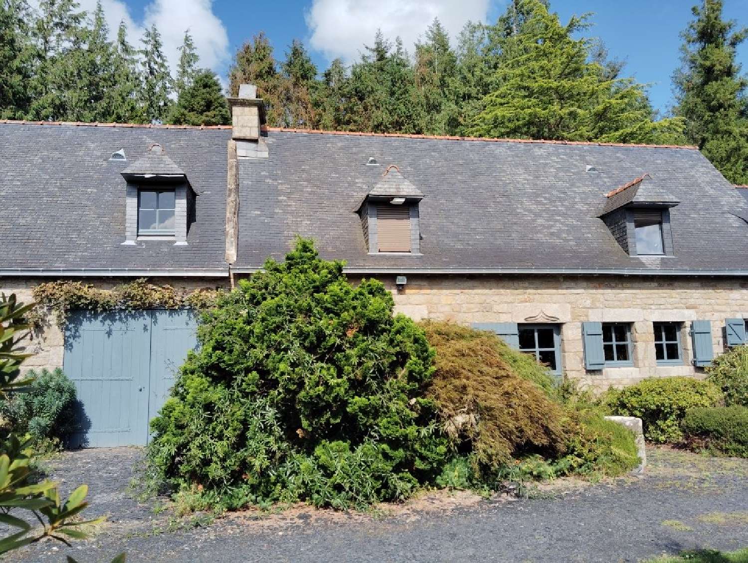  kaufen Haus Lignol Morbihan 5