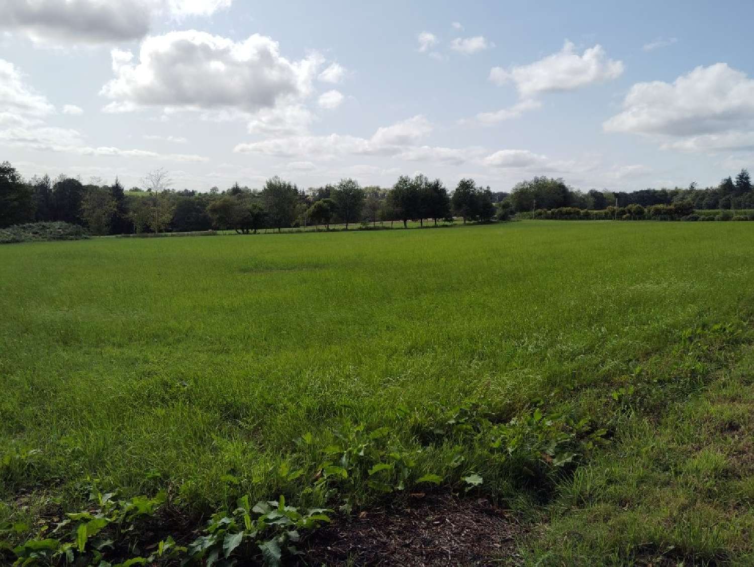  kaufen Haus Lignol Morbihan 8