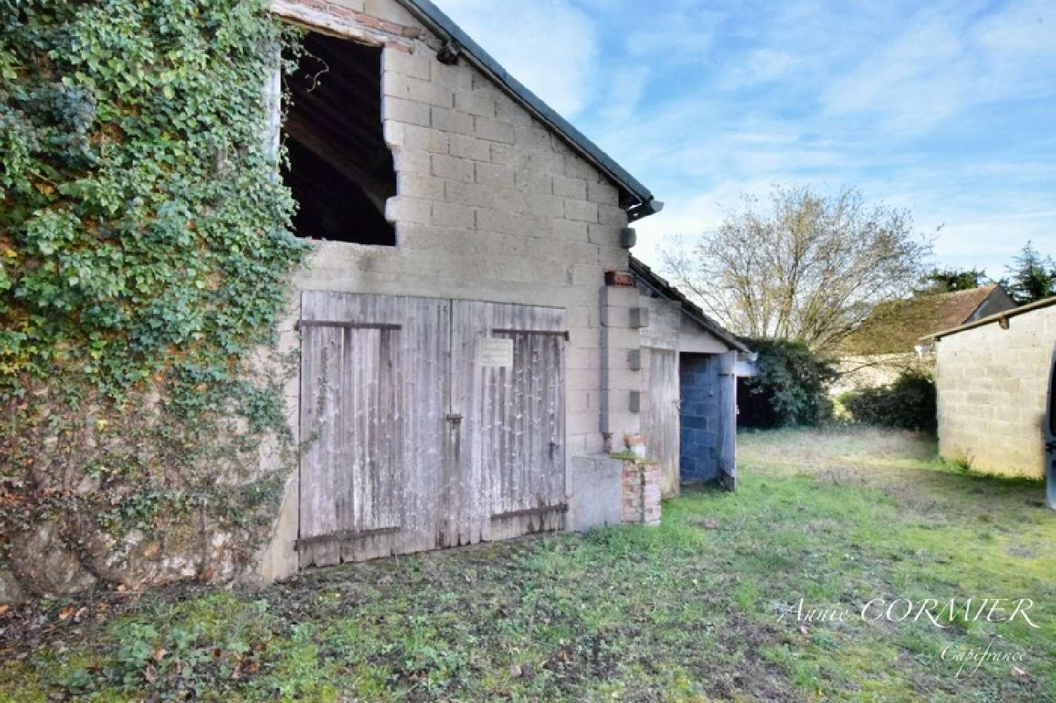 kaufen Haus Lion-en-Sullias Loiret 2