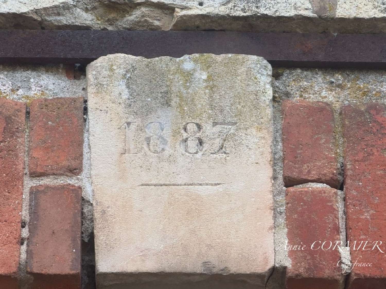 kaufen Haus Lion-en-Sullias Loiret 3