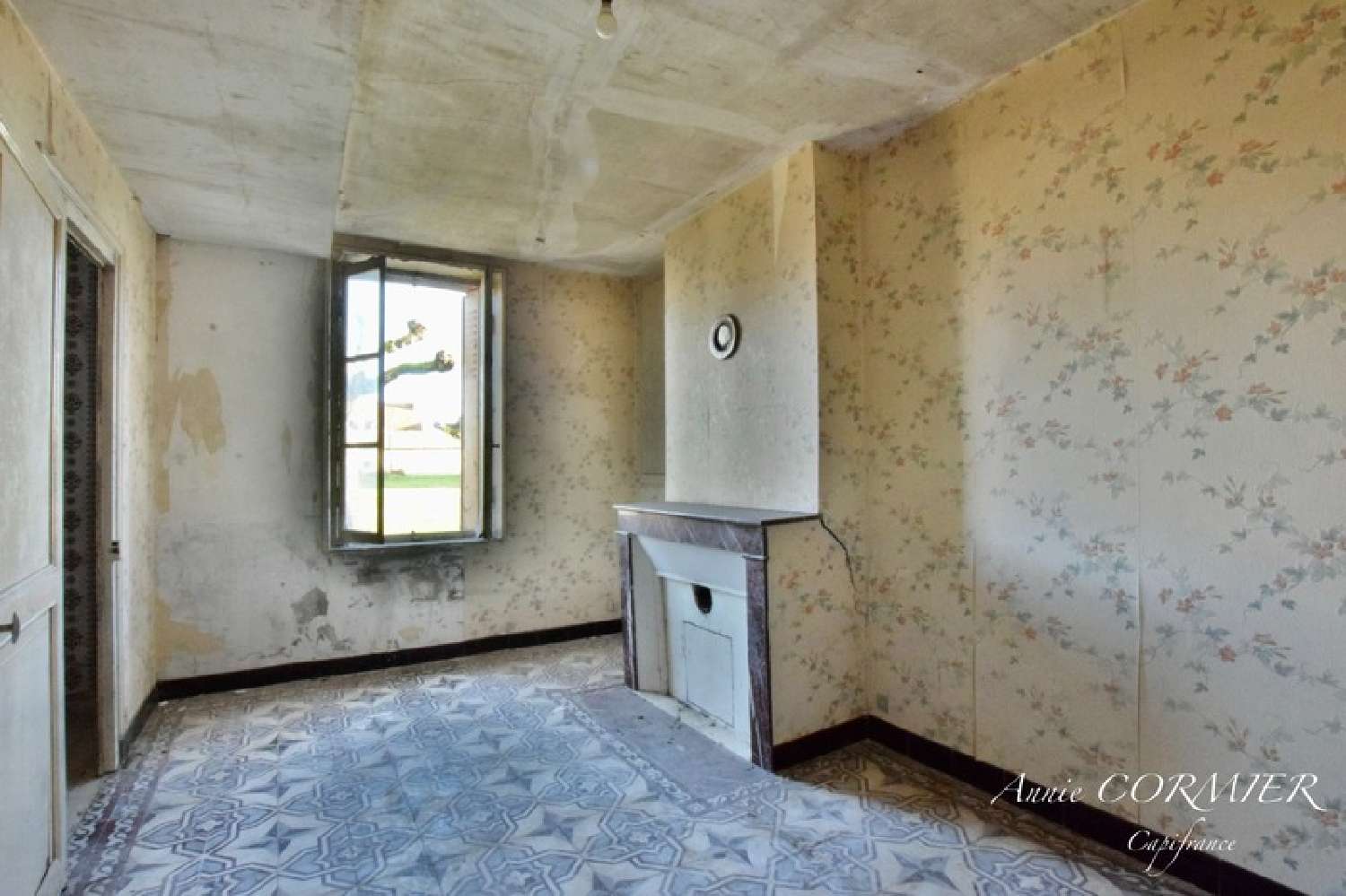 kaufen Haus Lion-en-Sullias Loiret 6