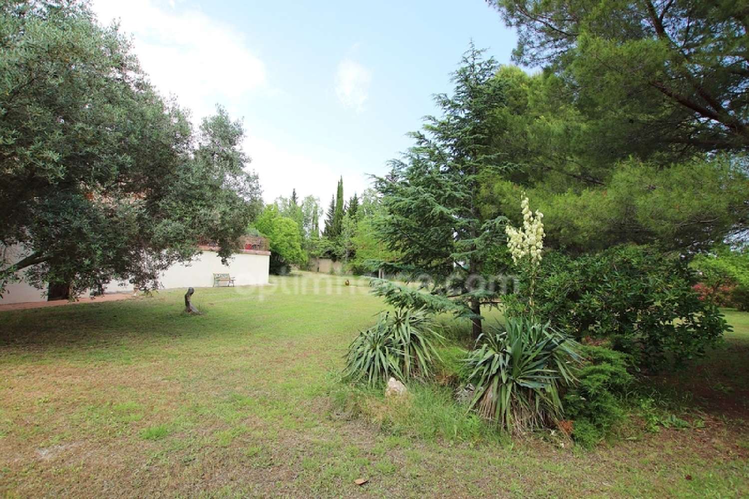  te koop huis Loupian Hérault 4