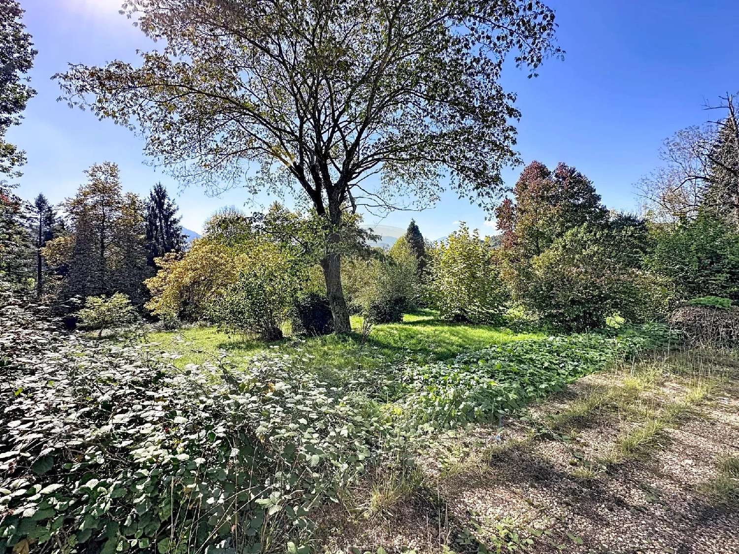  for sale house Lourdes Hautes-Pyrénées 3