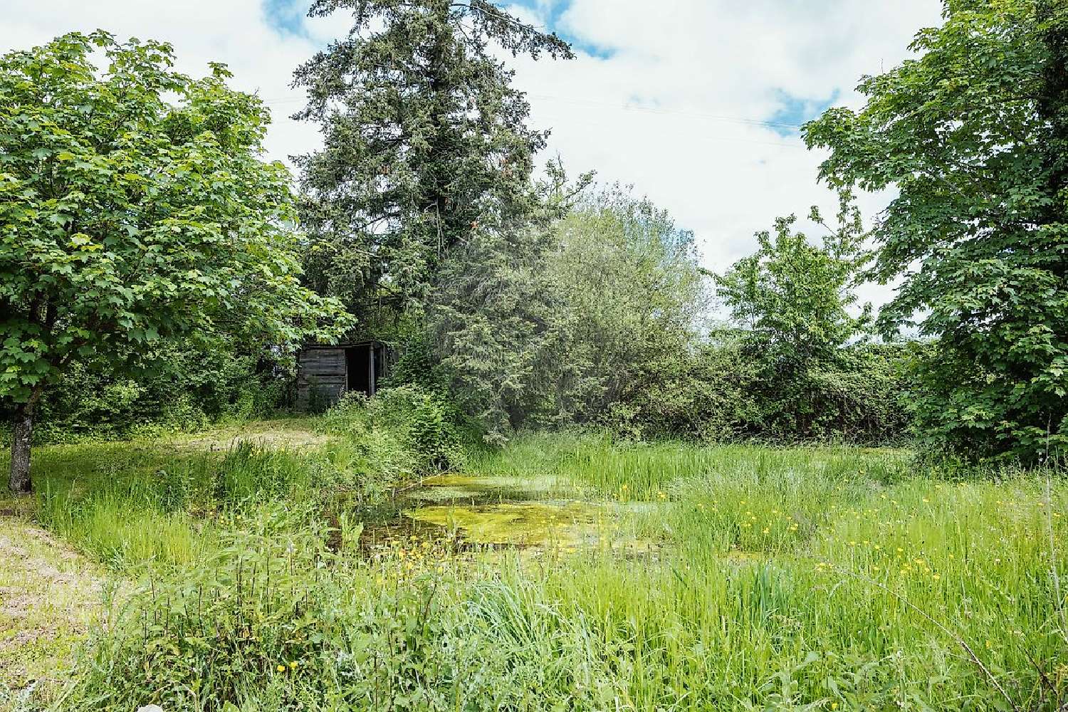 te koop huis Louroux-de-Beaune Allier 8