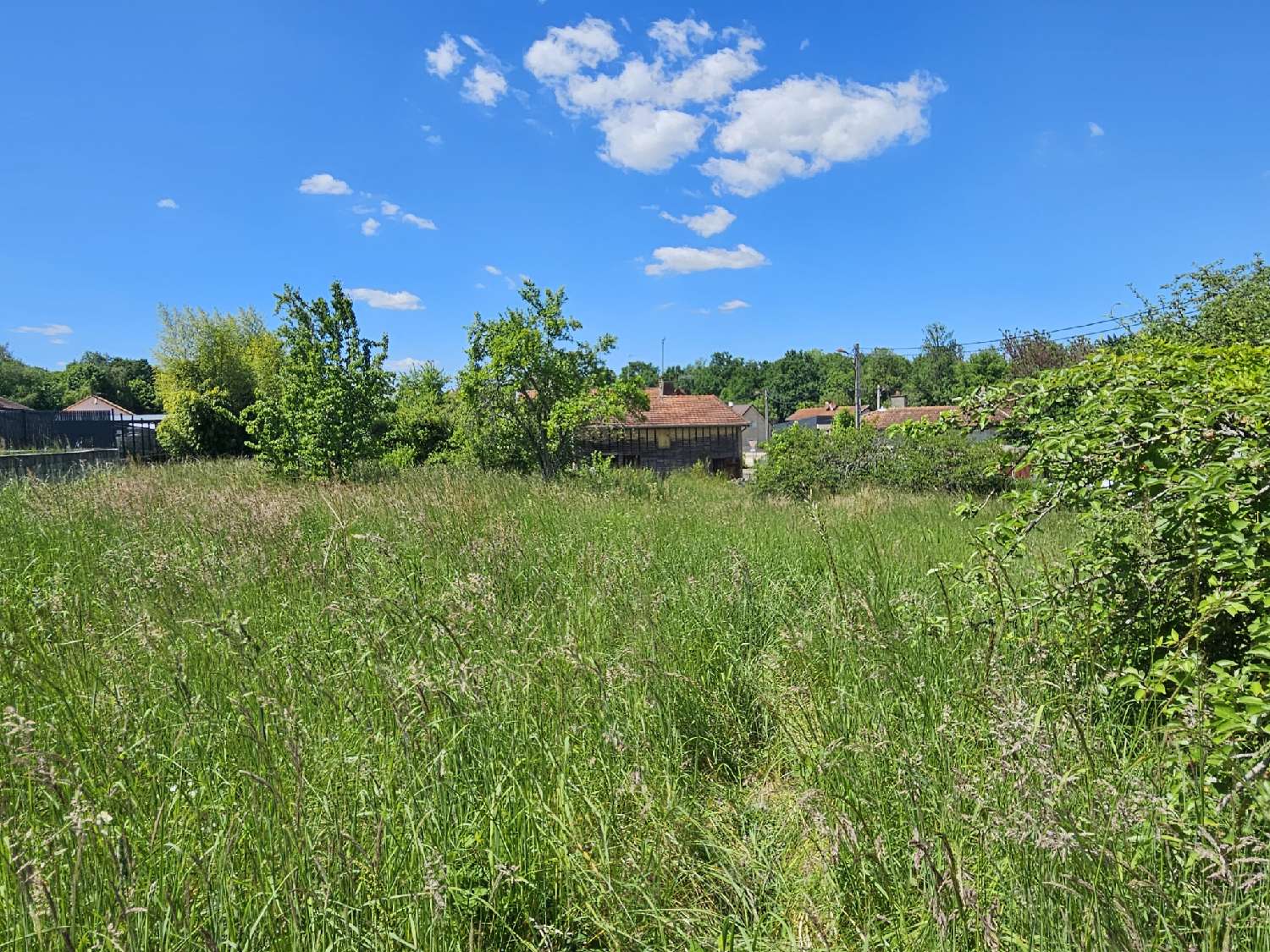  for sale house Louvemont Haute-Marne 4