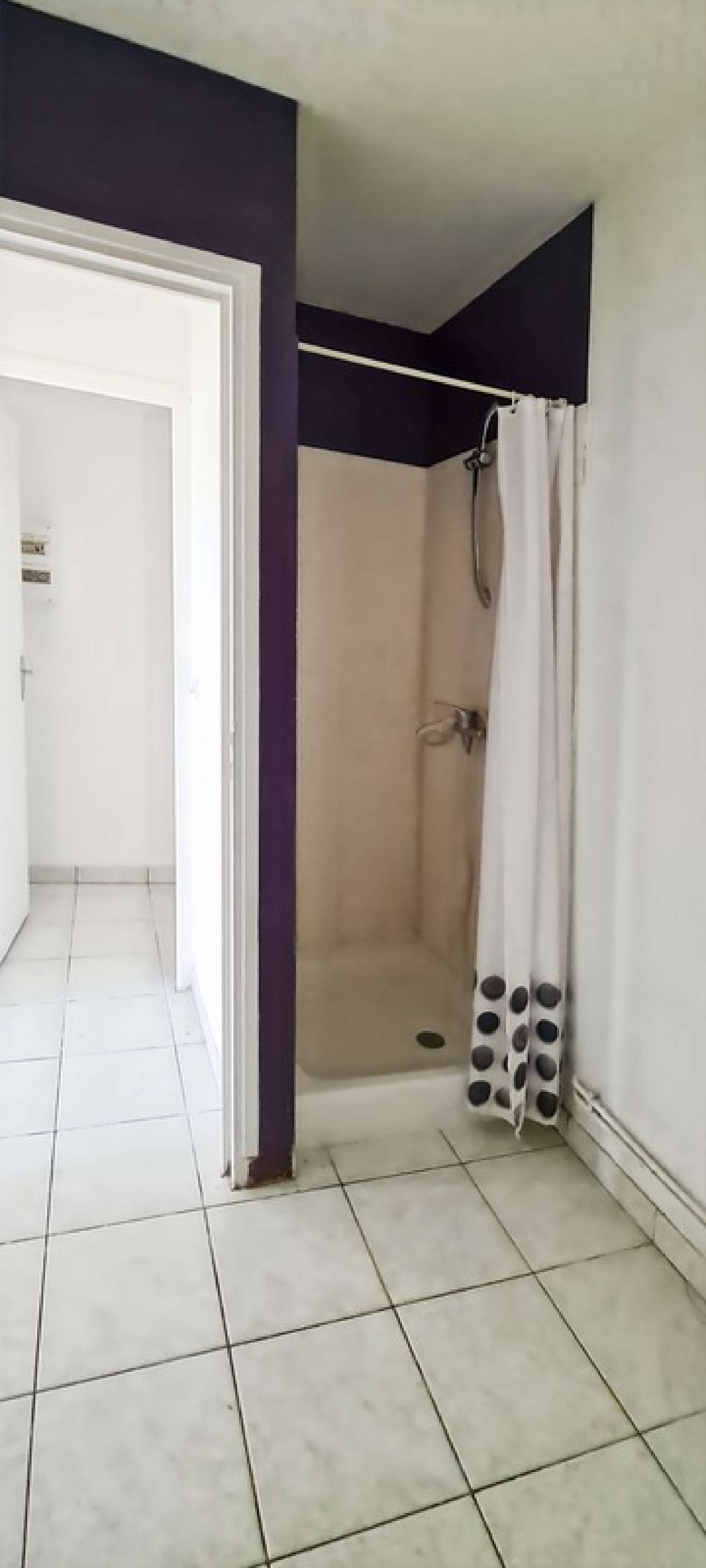  te koop huis Luant Indre 4