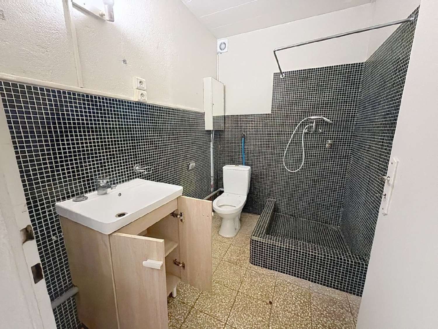  kaufen Haus Lucinges Haute-Savoie 4