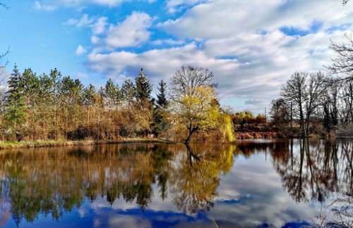 Lurcy-Lévis Allier house foto 7239072
