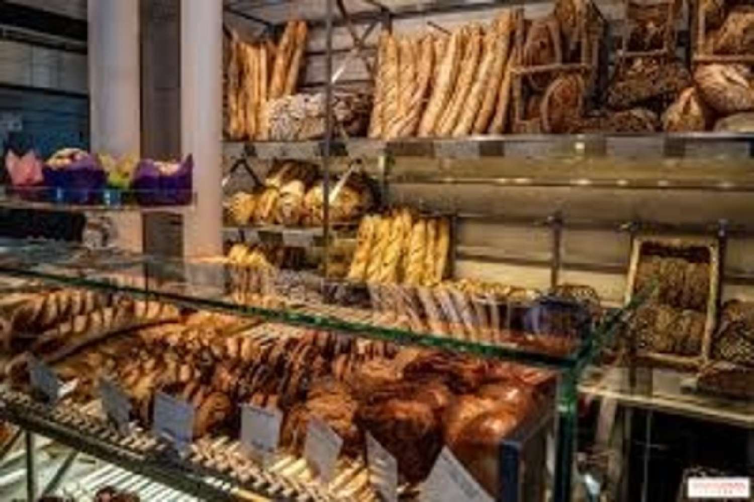  kaufen Haus Lyon 4e Arrondissement Rhône 1