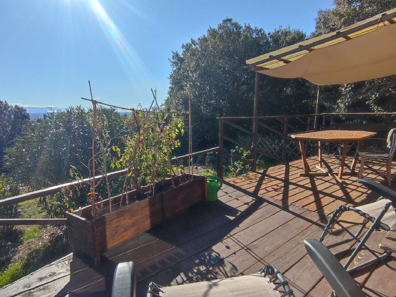  te koop huis Malviès Aude 8