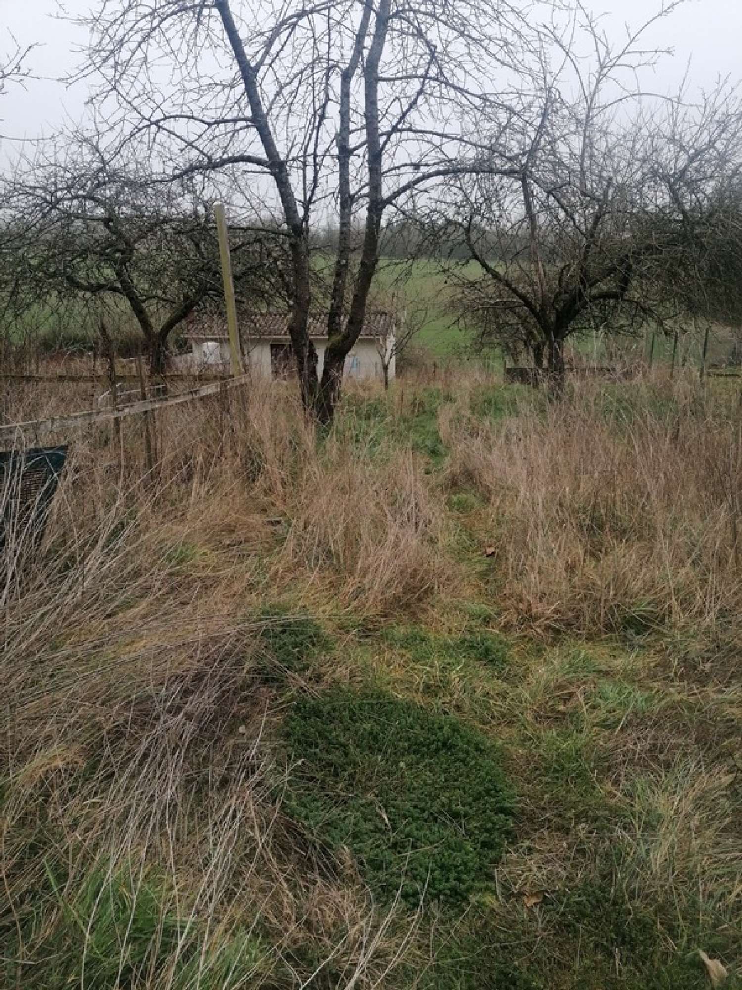  à vendre maison Manonville Meurthe-et-Moselle 2