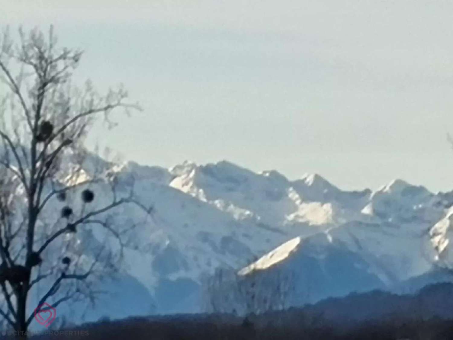 kaufen Haus Masseube Gers 2