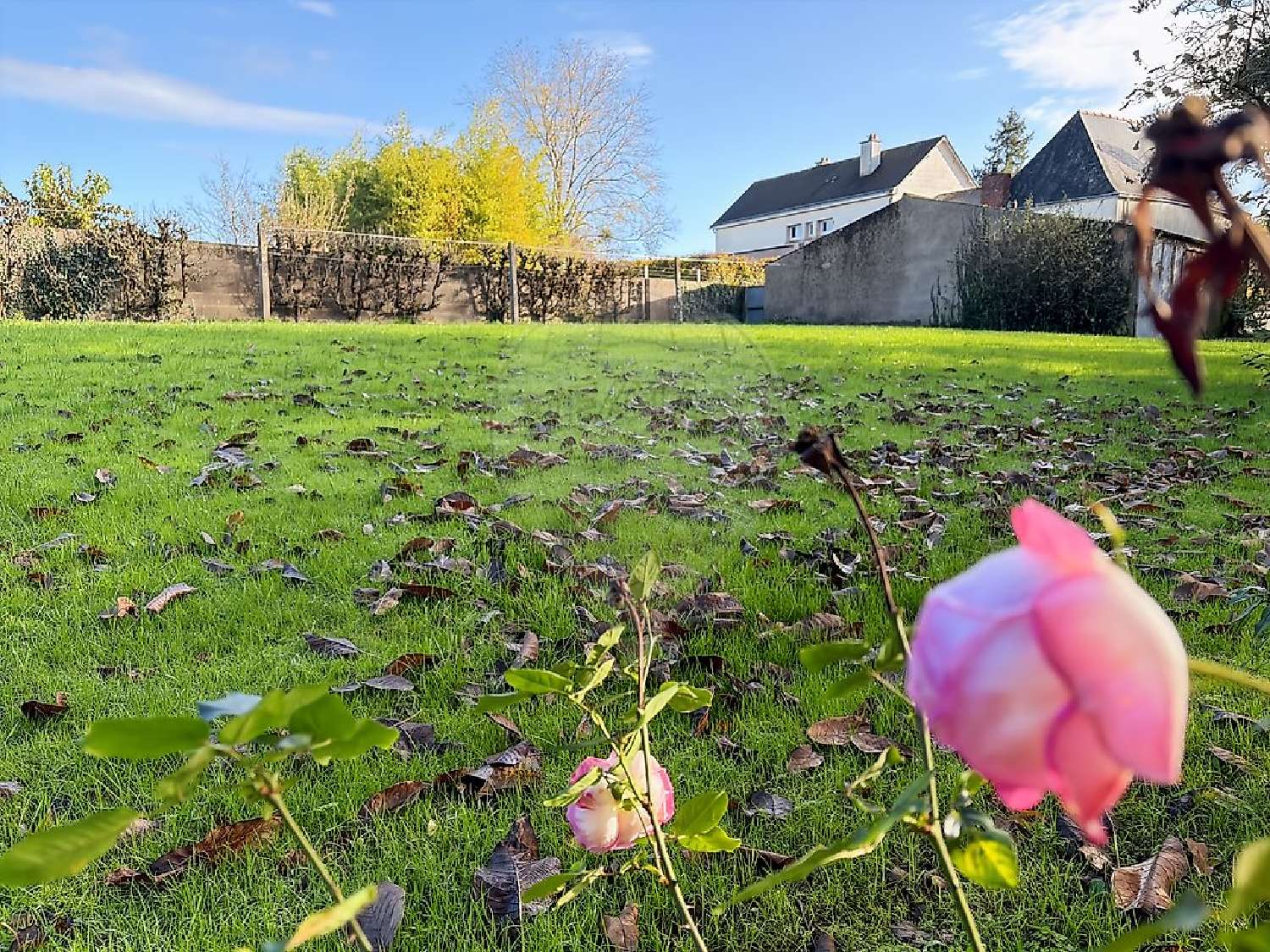  te koop huis Mauves-sur-Loire Loire-Atlantique 3