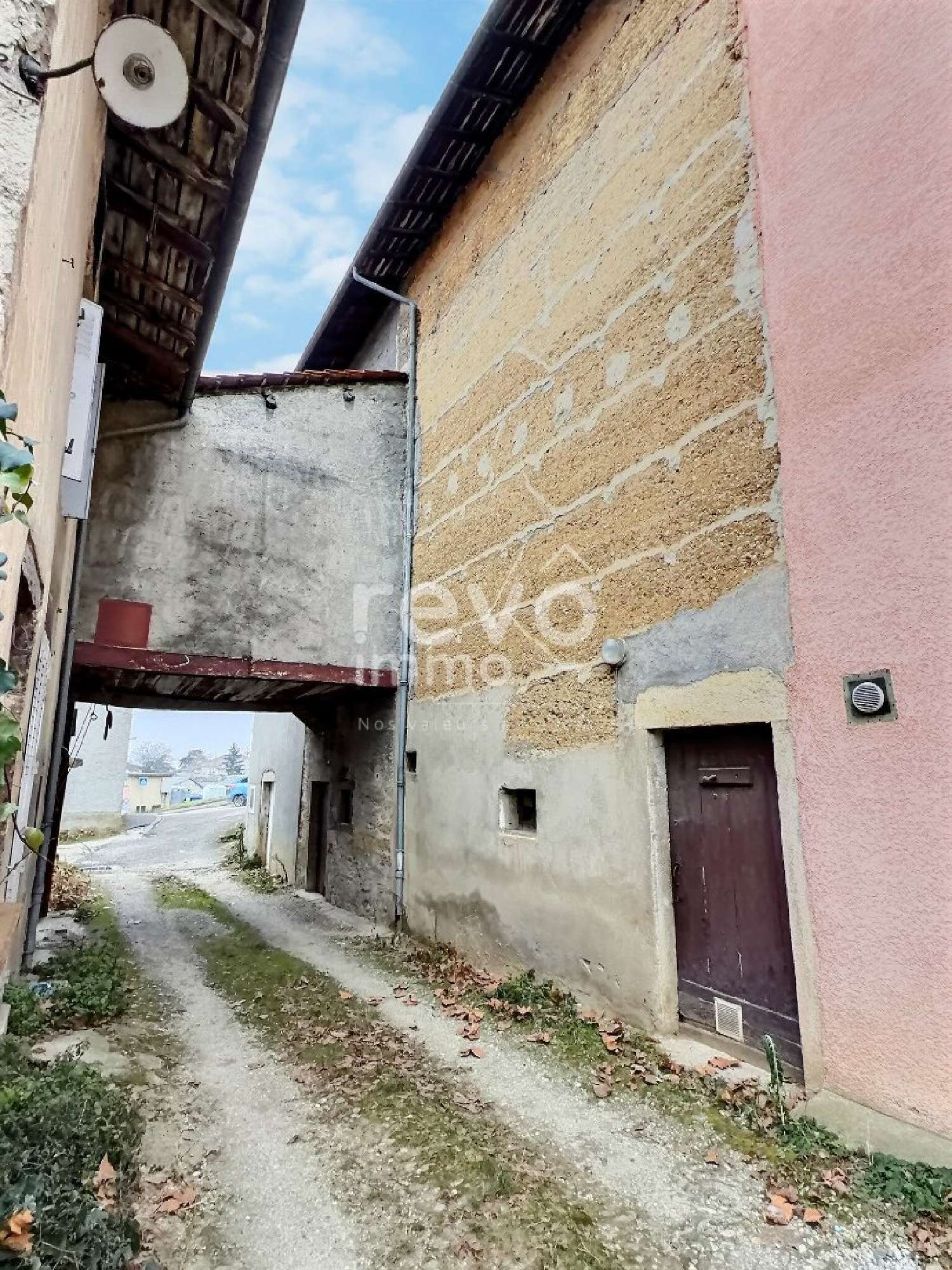  kaufen Haus Meximieux Ain 1