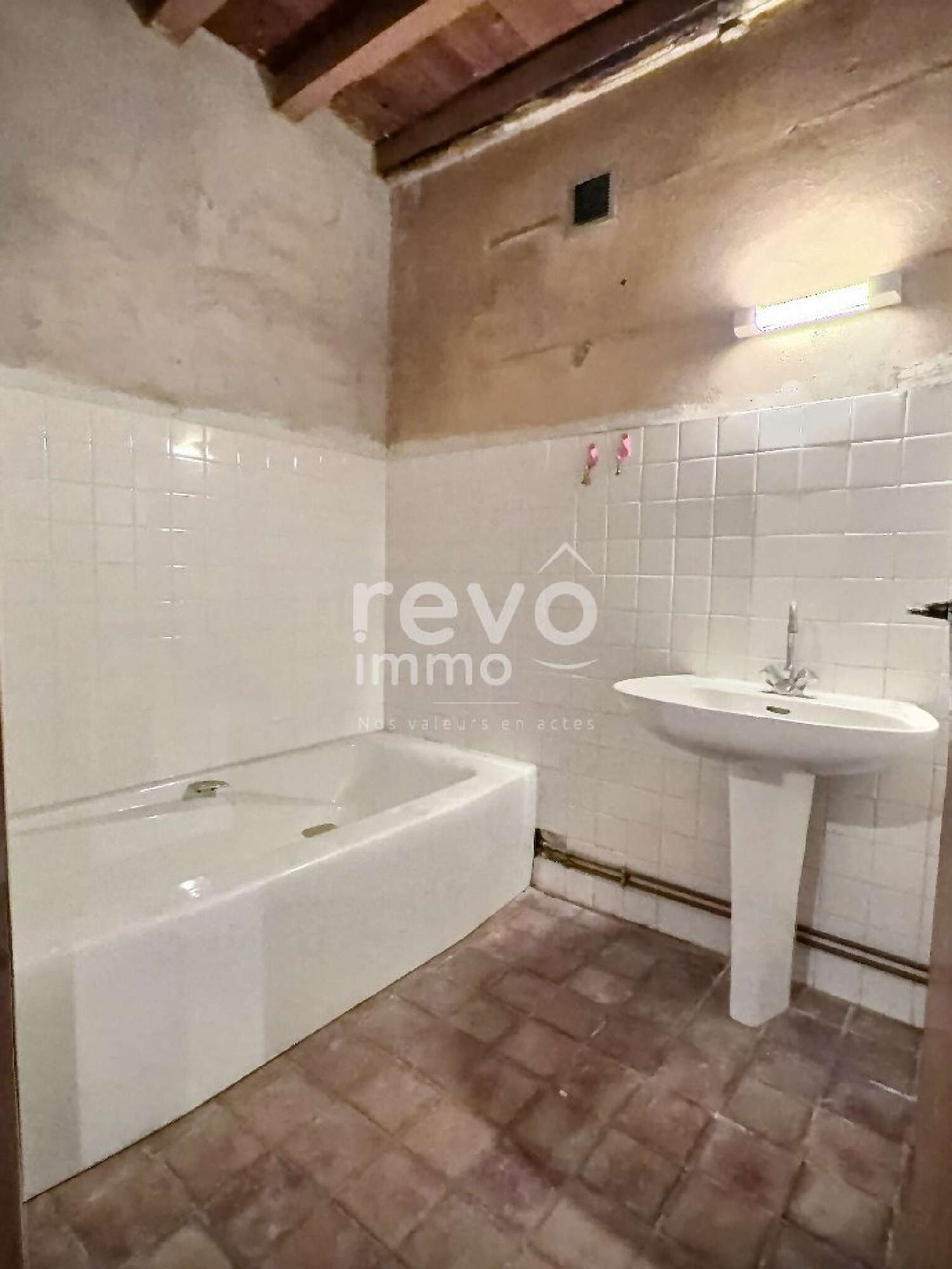  kaufen Haus Meximieux Ain 4