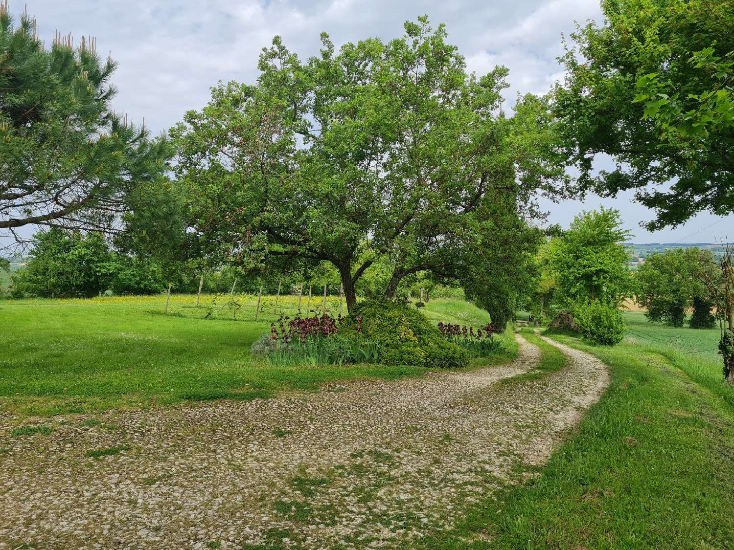  à vendre maison Miradoux Gers 6