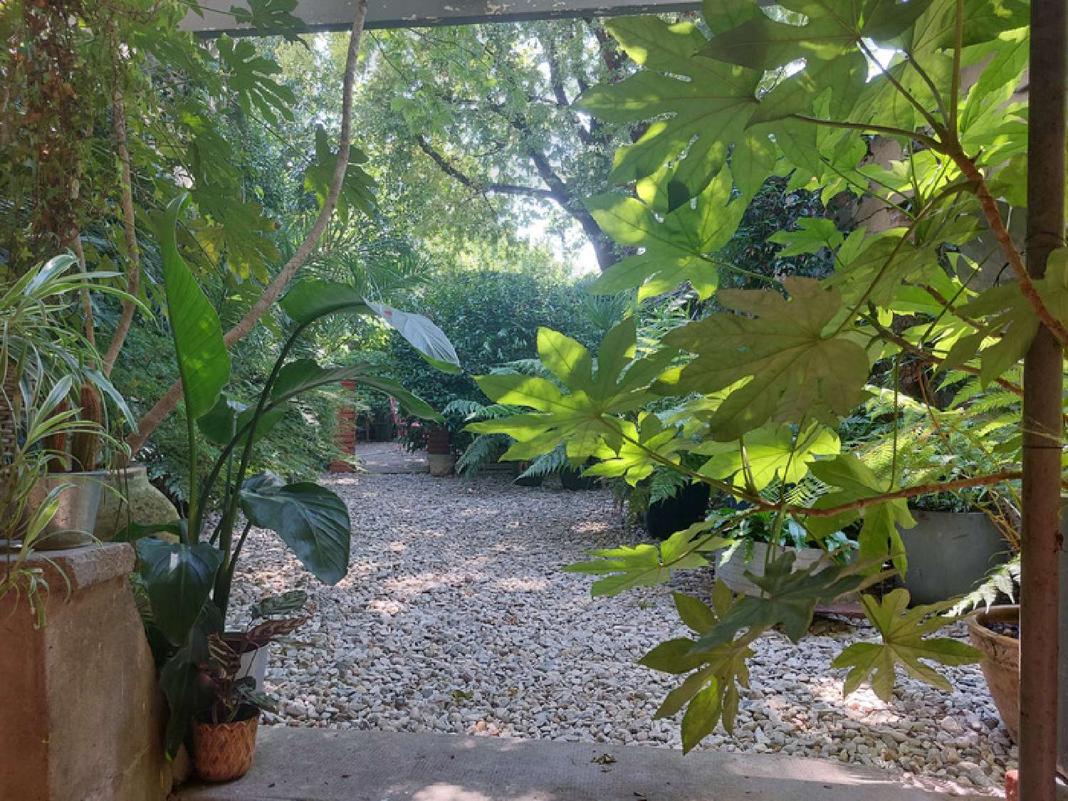  kaufen Haus Montauban Tarn-et-Garonne 7