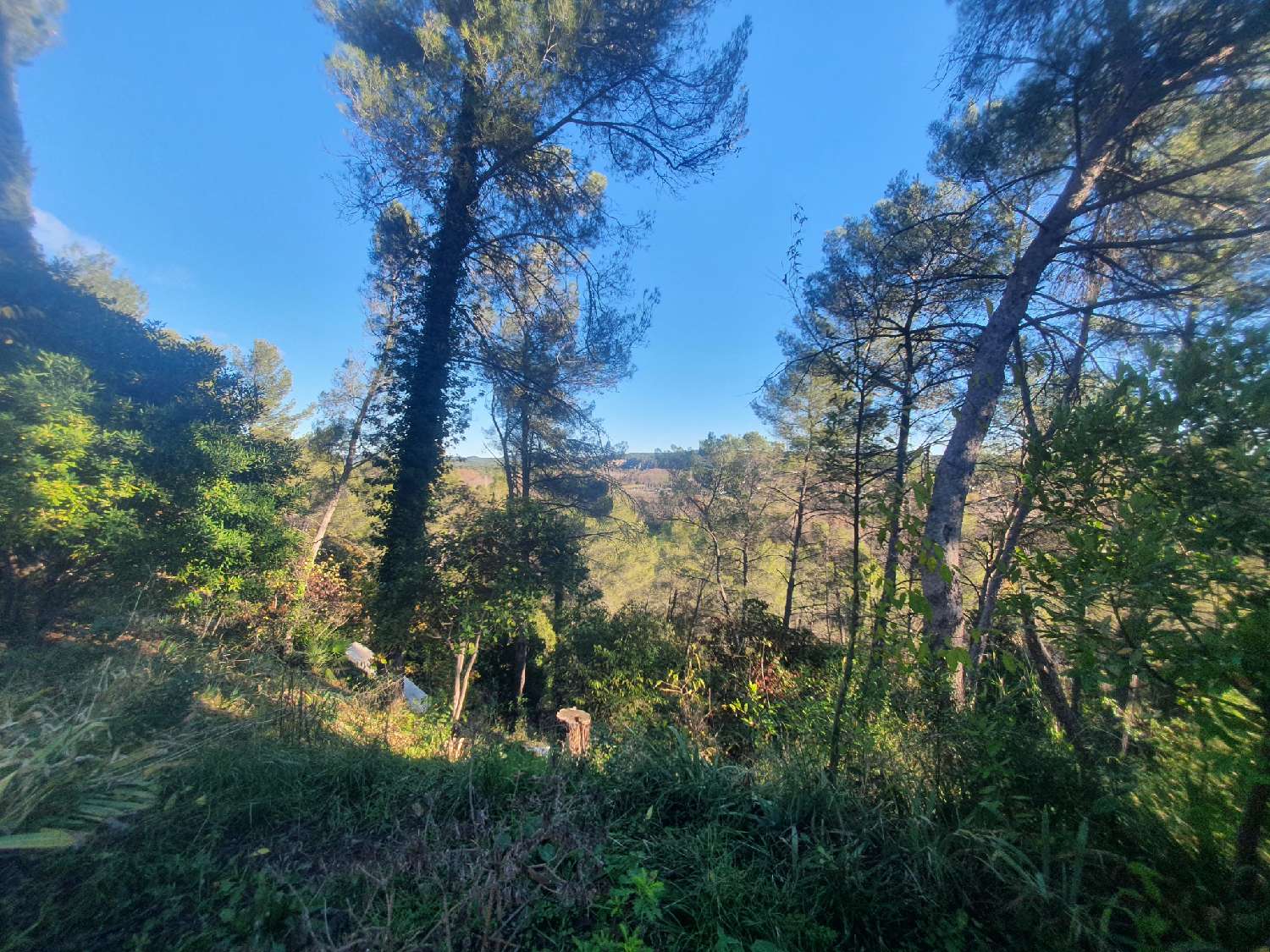  te koop huis Montferrier-sur-Lez Hérault 2