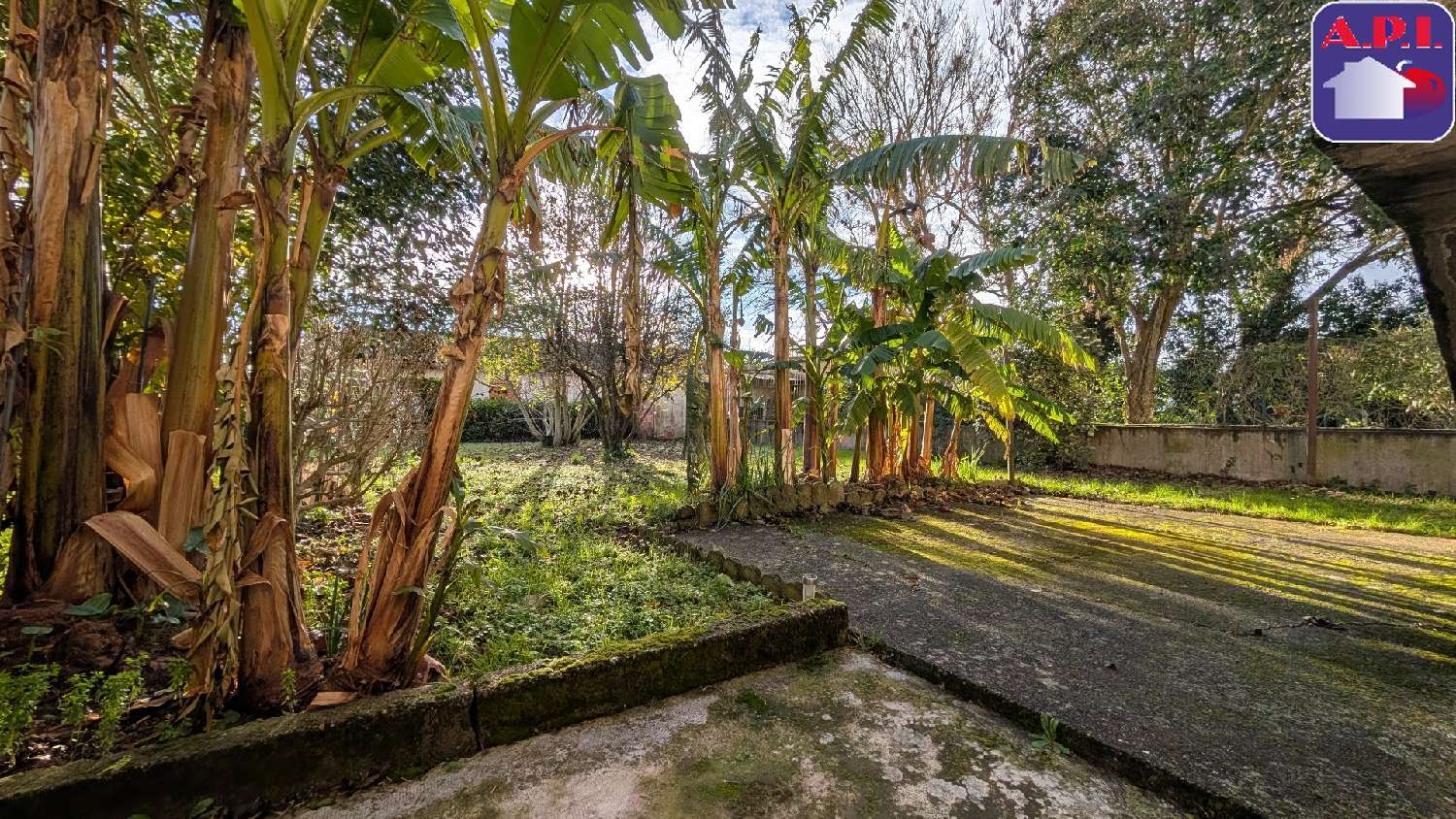  kaufen Haus Montgiscard Haute-Garonne 2