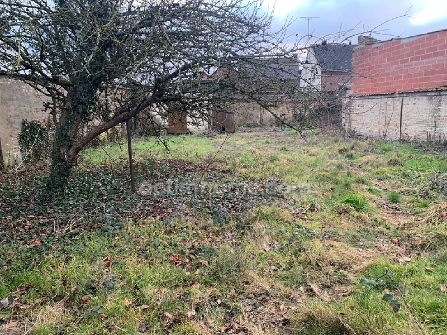  kaufen Haus Montigny-en-Cambrésis Nord 2