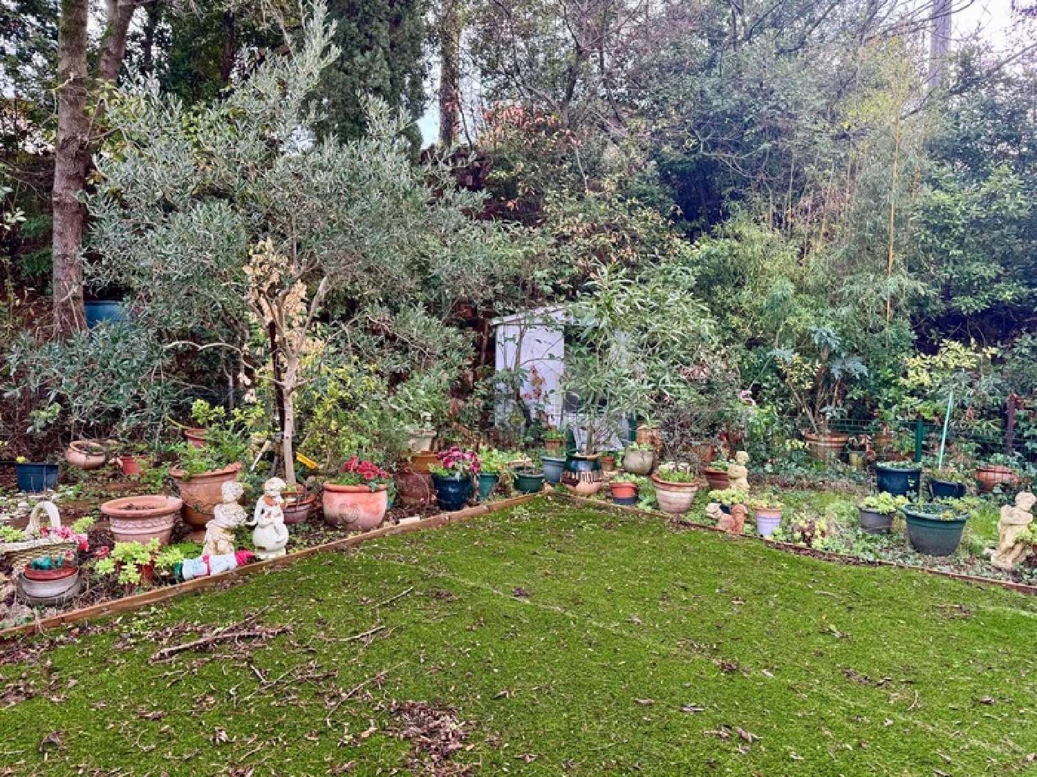 te koop huis Montpellier 34070 Hérault 6