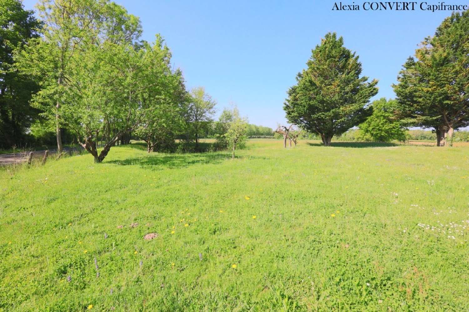  te koop huis Montrevel-en-Bresse Ain 8