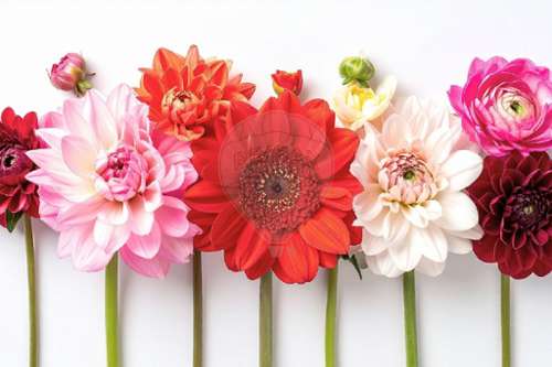 Mouy Oise huis foto 7239069