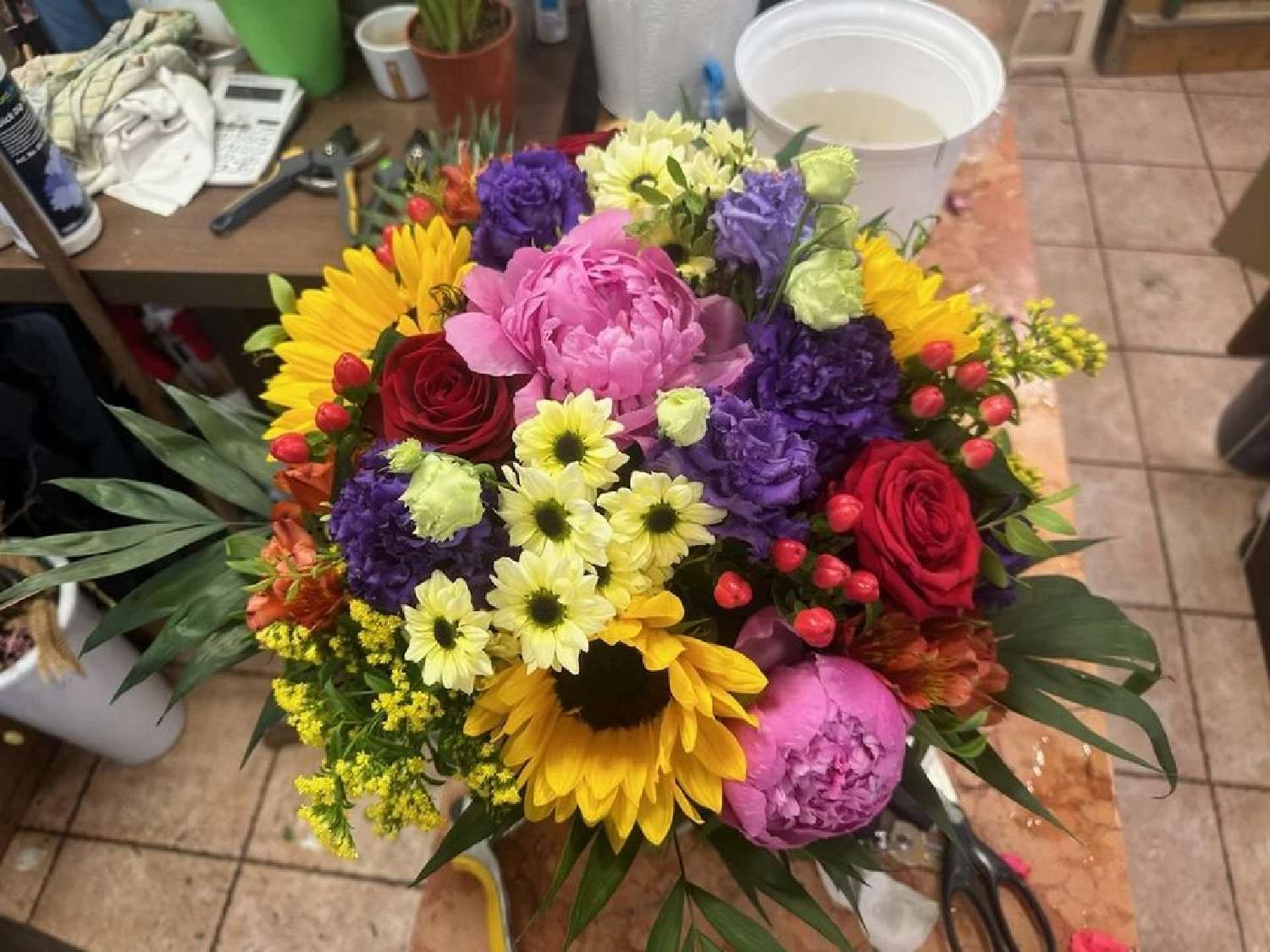  te koop huis Nice Alpes-Maritimes 1