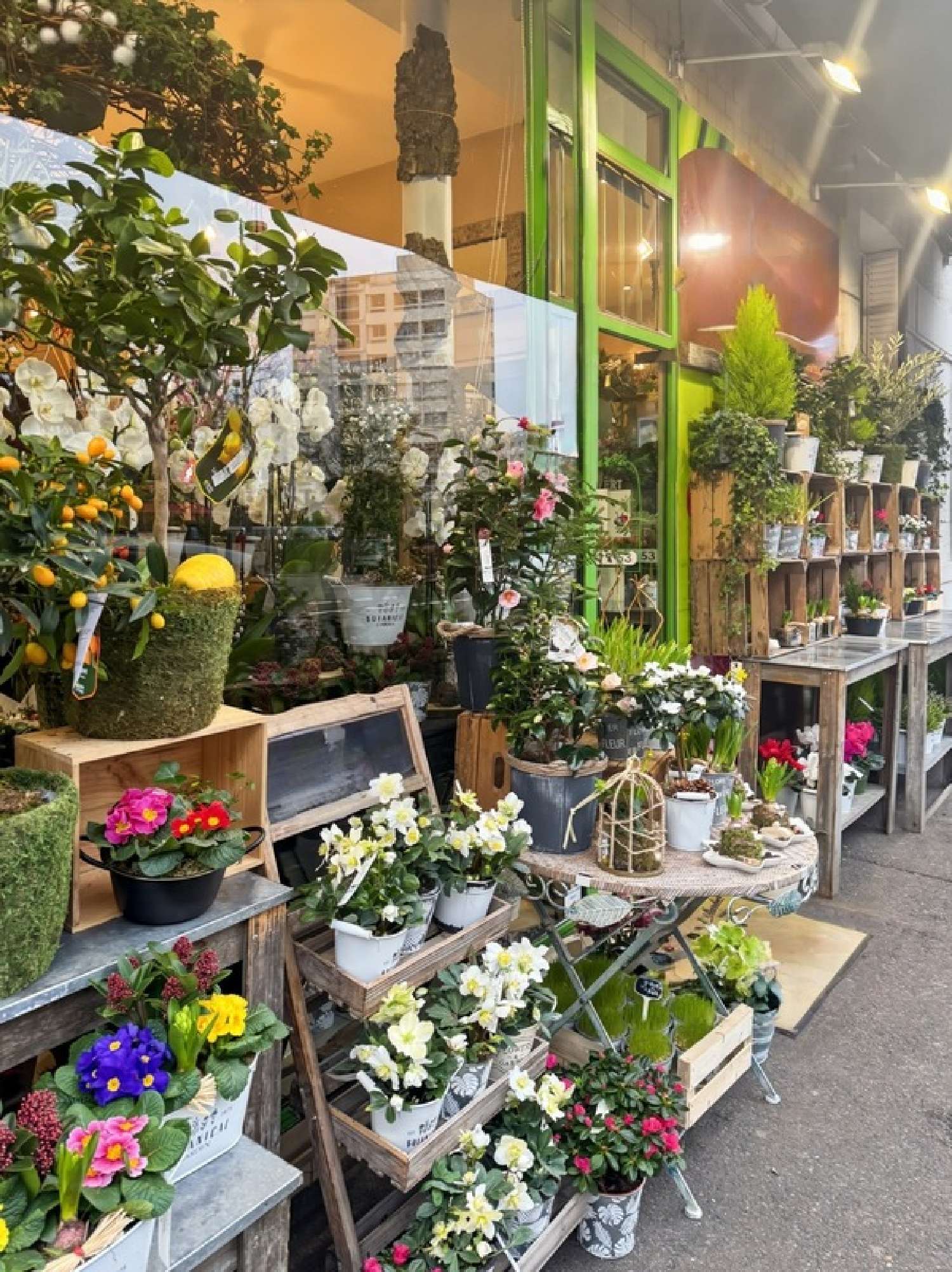 à vendre maison Nogent-sur-Marne Val-de-Marne 2