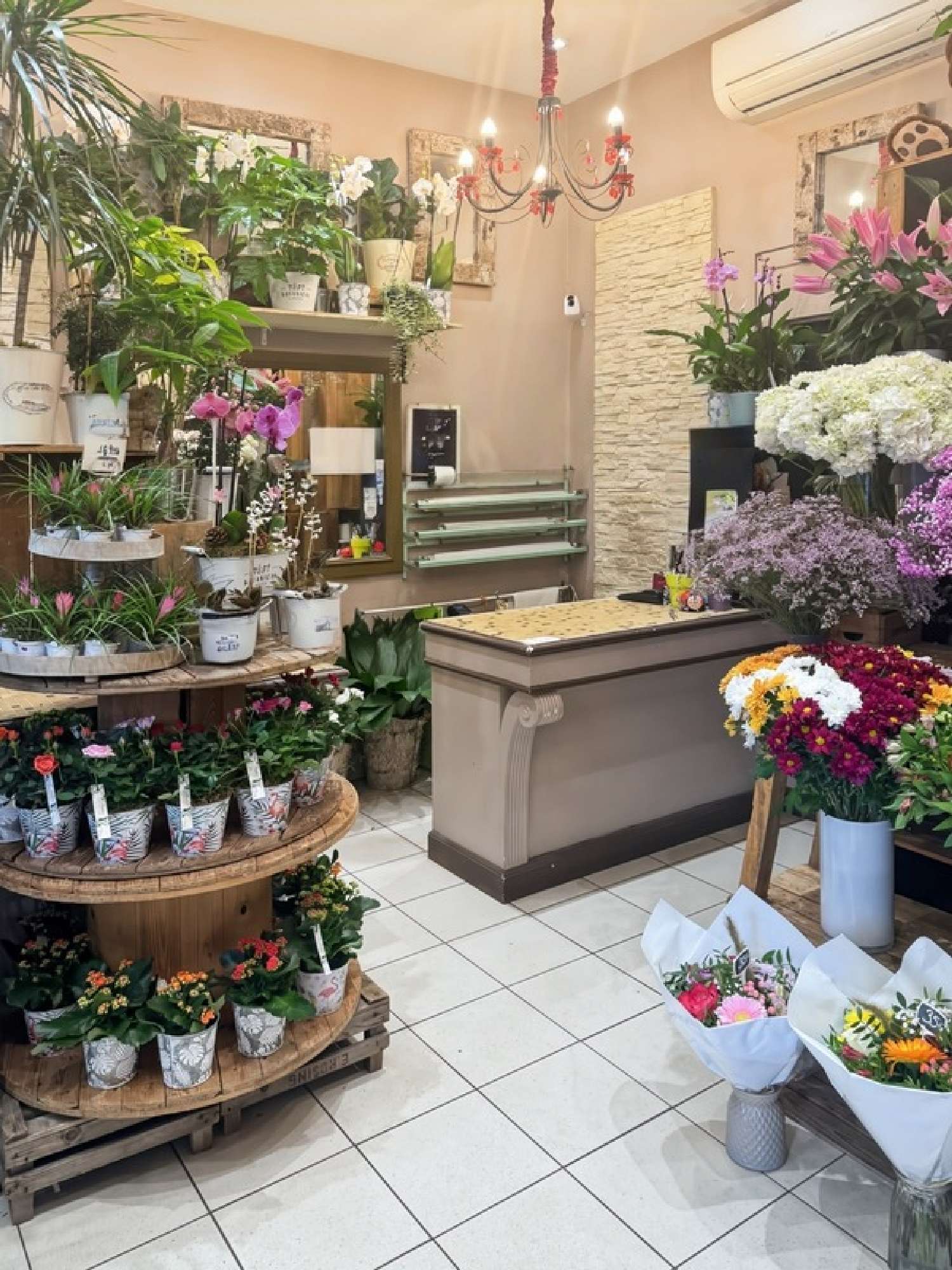 à vendre maison Nogent-sur-Marne Val-de-Marne 3