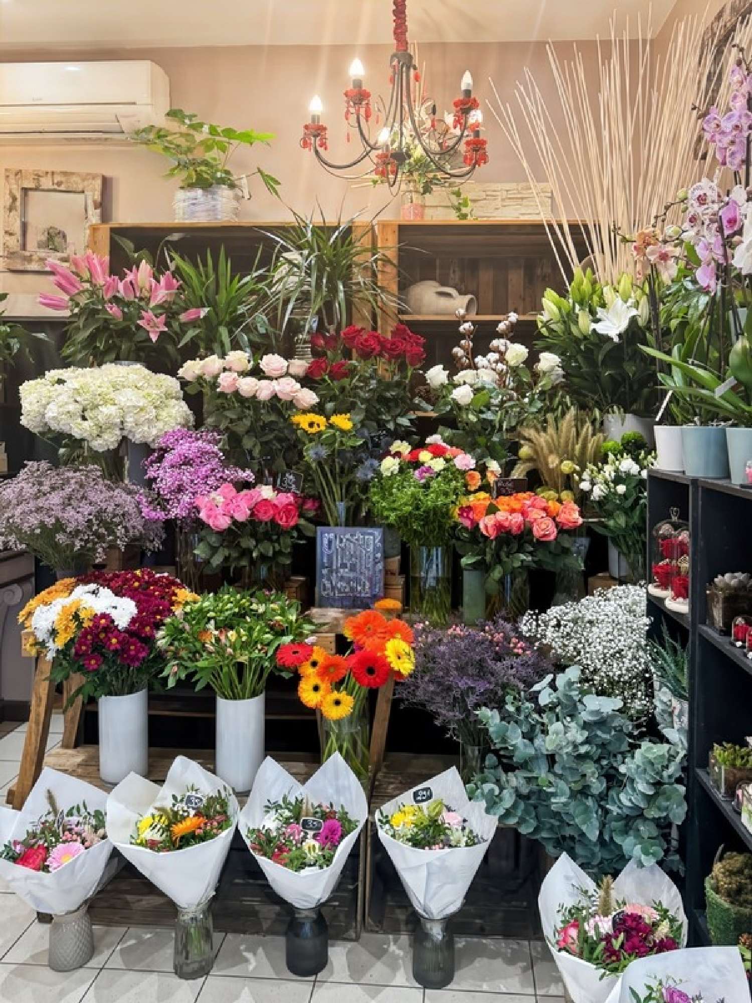 à vendre maison Nogent-sur-Marne Val-de-Marne 4