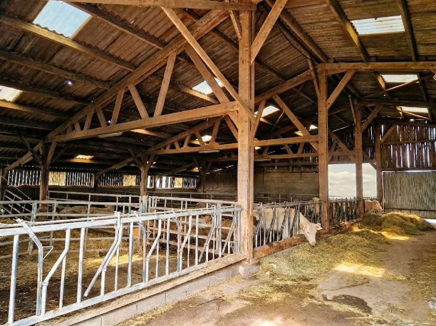  for sale house Nonville Vosges 4