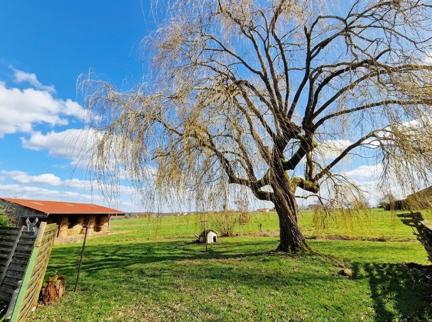  for sale house Nonville Vosges 7