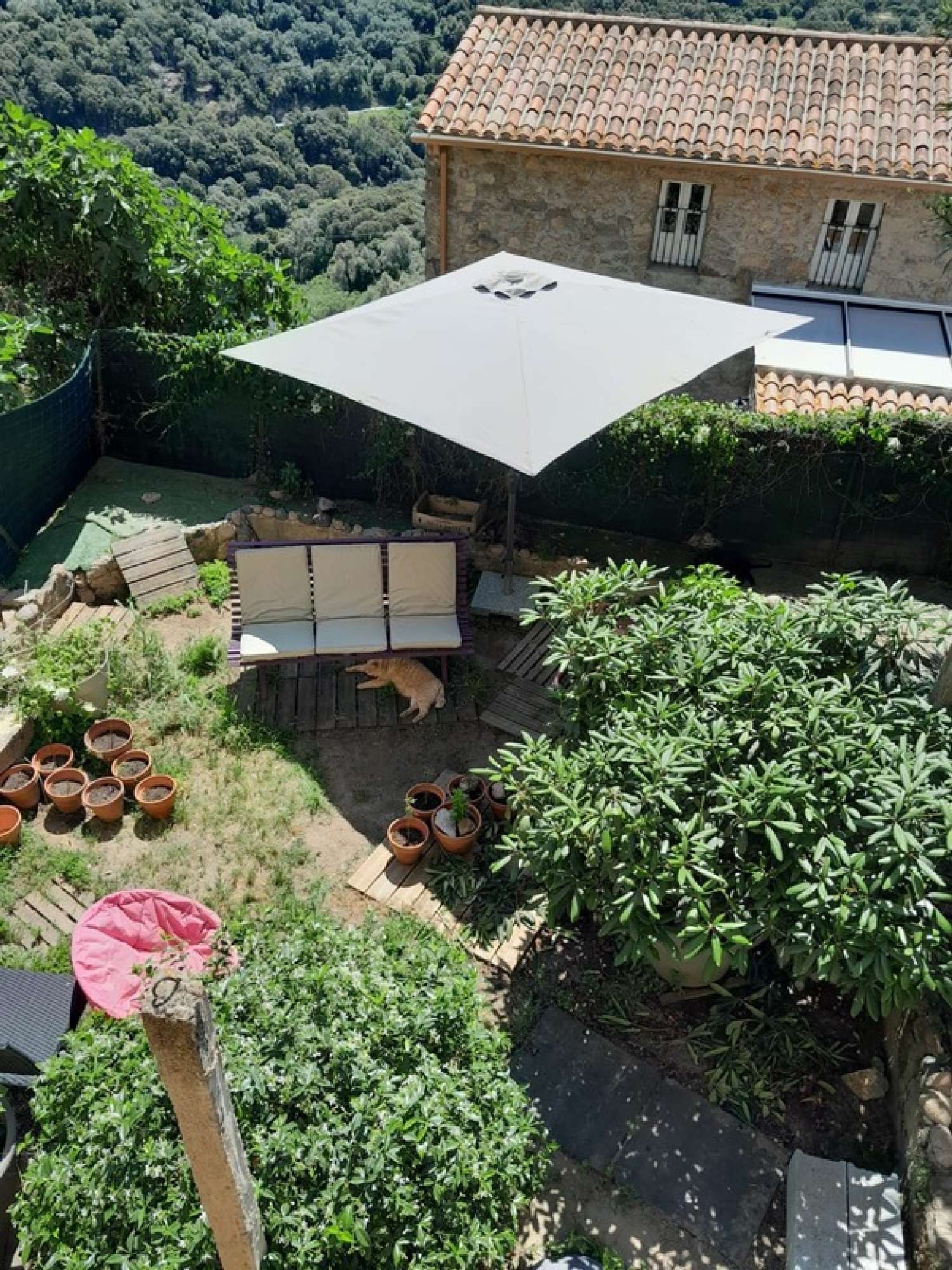 for sale house Olmeto Corse-du-Sud 2